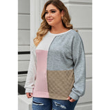 Long Sleeve Multicolor Cable Knit Color Block Plus Size Top