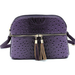 Purple Multi Compartment Crossbody Purse