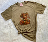 Hey There Pumpkin Highland Cow T-shirt & Flannel
