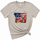 Patriotic Flag Graphic T-Shirt, Light Gray