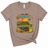 Retired Full Time Grandma Graphic T-Shirt, Ash Gray